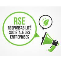 Les fondamentaux de la RSE (NEW)